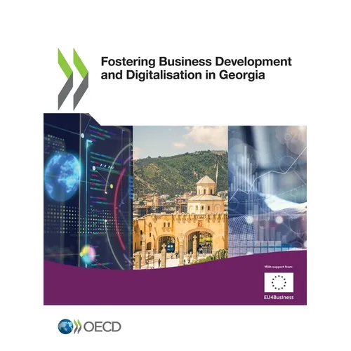 Fostering Business Development and Digitalisation in Georgia
