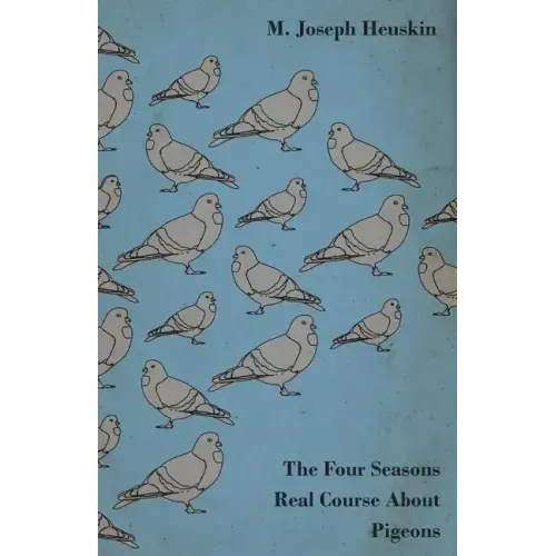 The Four Seasons Real Course About Pigeons