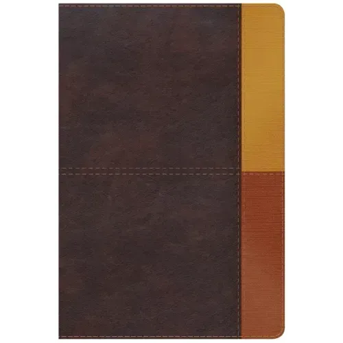 Rvr 1960 Biblia de Estudio Arcoiris, Cocoa/ Terracota Símil Piel