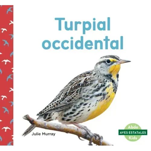 Turpial Occidental (Western Meadowlarks)