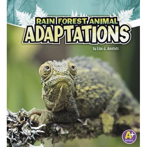Rain Forest Animal Adaptations