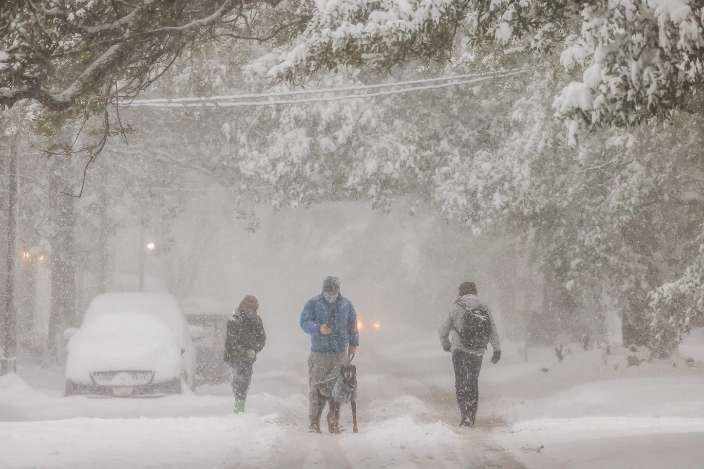 So Much Snow! A Joyous Celebration of the 2025 Louisiana Snowstorm Book