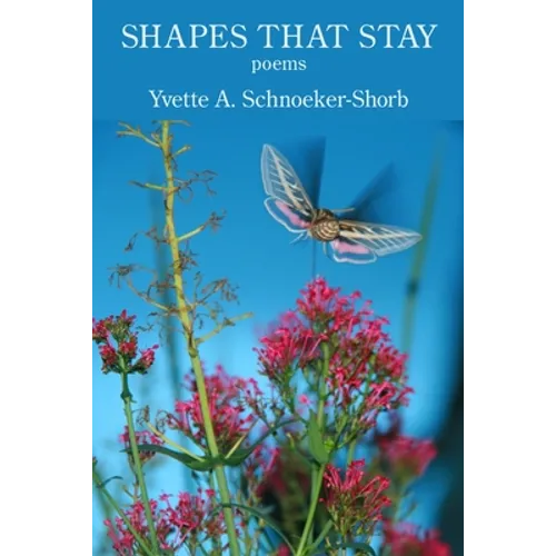 Shapes That Stay