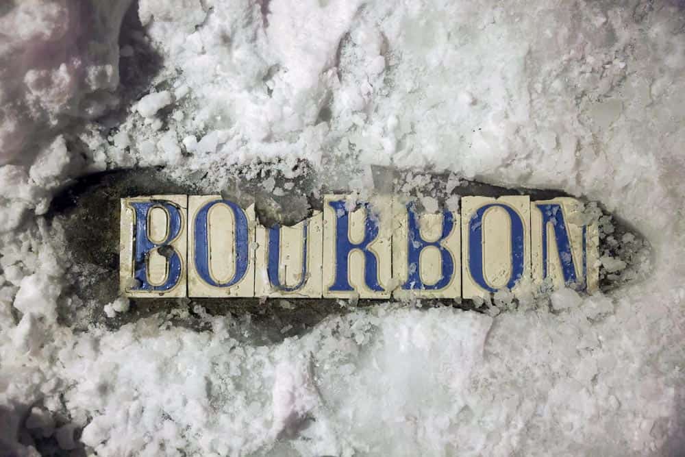 So Much Snow! A Joyous Celebration of the 2025 Louisiana Snowstorm Book