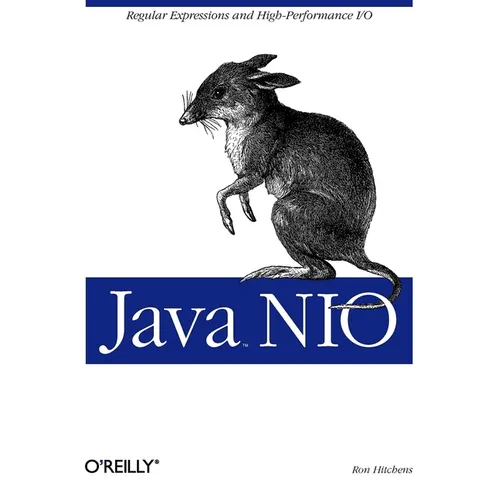 Java NIO: Regular Expressions and High-Performance I/O
