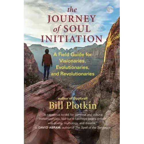 The Journey of Soul Initiation: A Field Guide for Visionaries, Evolutionaries, and Revolutionaries