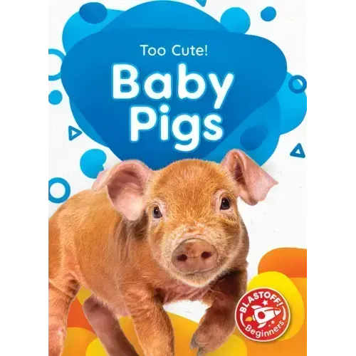 Baby Pigs