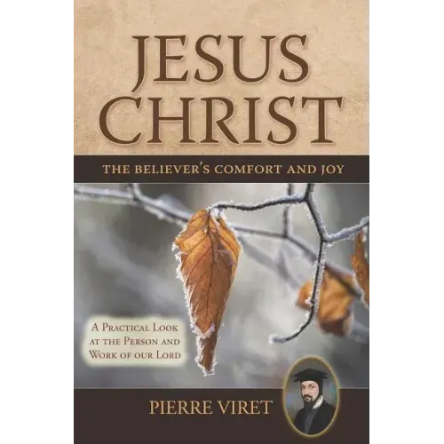 Jesus Christ the Believer's Comfort and Joy: A Practical Look at the Person and Work of Our Lord