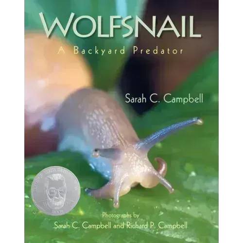 Wolfsnail: A Backyard Predator