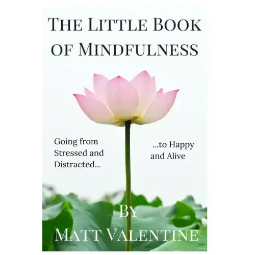 The Little Book of Mindfulness