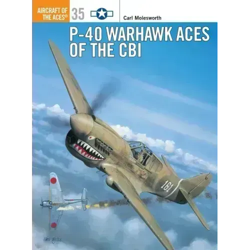 P-40 Warhawk Aces of the Cbi