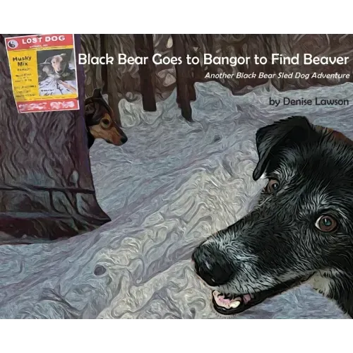 Black Bear Goes to Bangor to Find Beaver