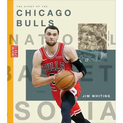 The Story of the Chicago Bulls