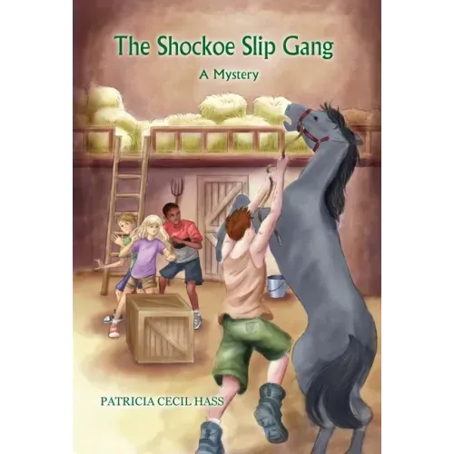 The Shockoe Slip Gang: A Mystery