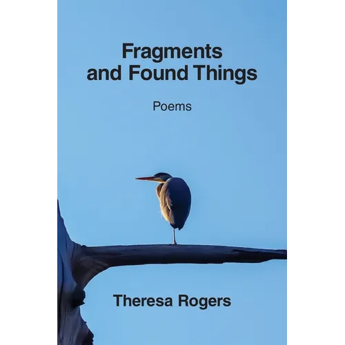 Fragments and Found Things