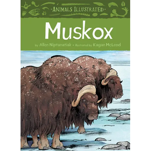 Animals Illustrated: Muskox