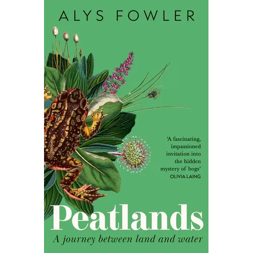 Peatlands: A Journey Between Land and Water