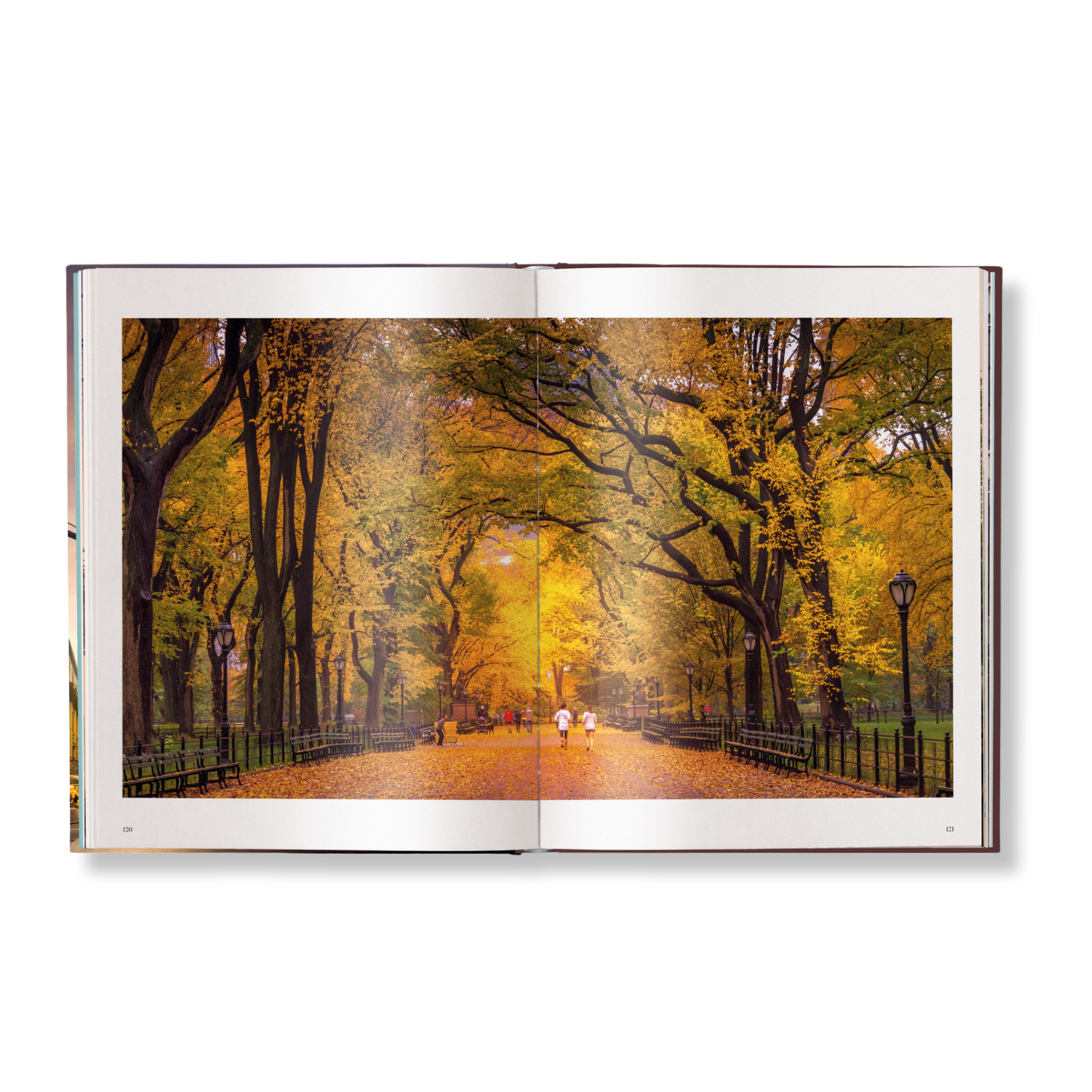 New York Book