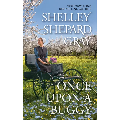 Once Upon a Buggy
