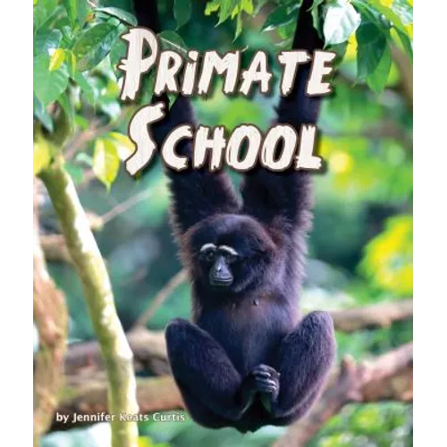 Primate School
