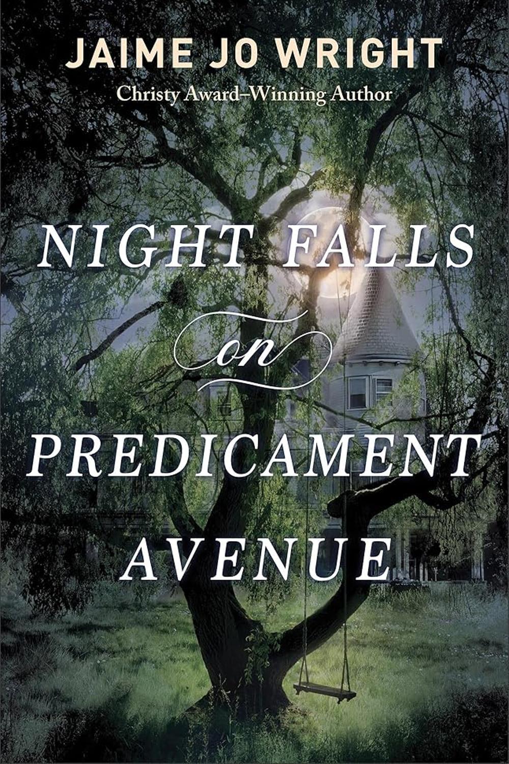 Night Falls on Predicament Avenue Book