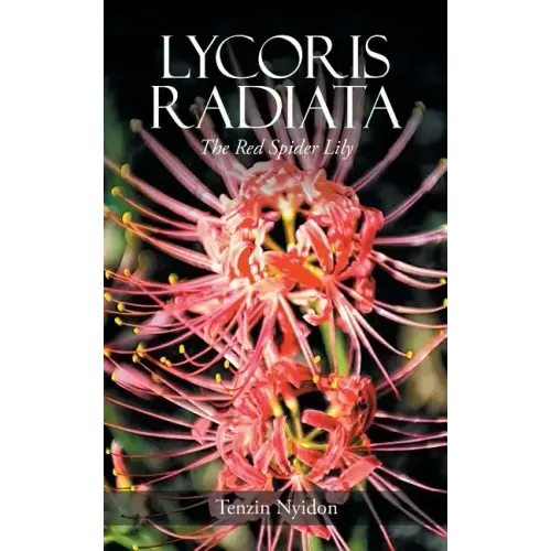 Lycoris Radiata: The Red Spider Lily