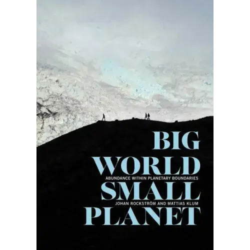 Big World, Small Planet: Abundance Within Planetary Boundaries