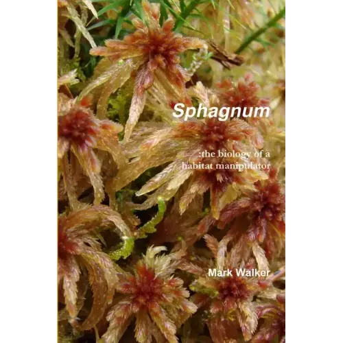 Sphagnum