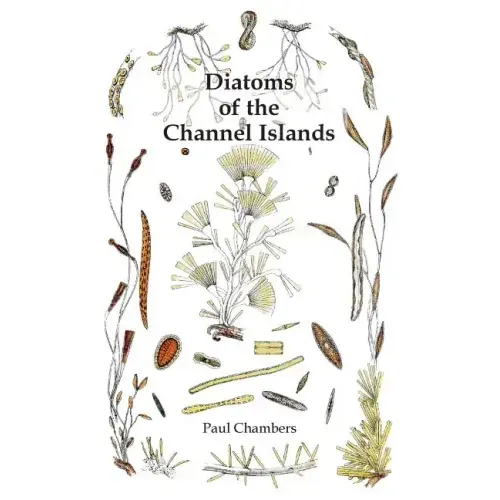 Diatoms of the Channel Islands