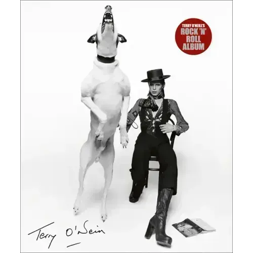 Terry O'Neill's Rock 'n' Roll Album
