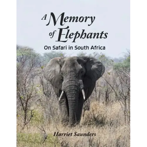 A Memory of Elephants: On Safari in South Africa