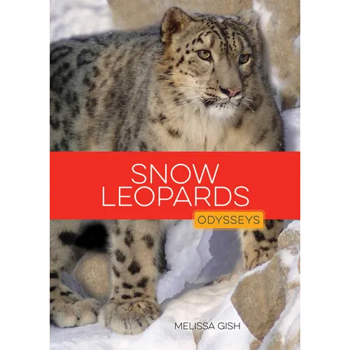 Snow Leopards