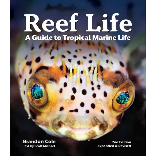 Reef Life: A Guide to Tropical Marine Life