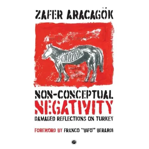 Non-Conceptual Negativity: Damaged Reflections on Turkey