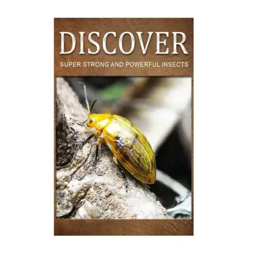 Super Strong and Powerful Insects - Discover: Early reader's wildlife photography book