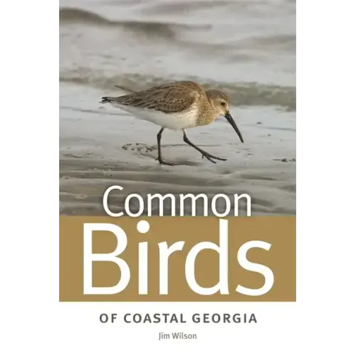 Common Birds of Coastal Georgia