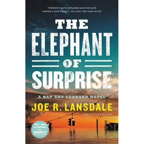 The Elephant of Surprise