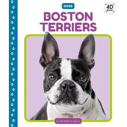 Boston Terriers
