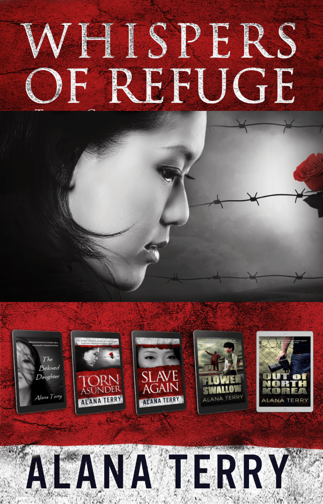 North Korean Christian Fiction Bundle (paperback) Book