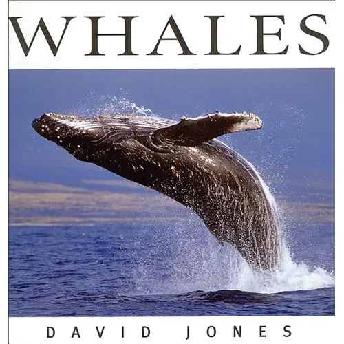 Whales