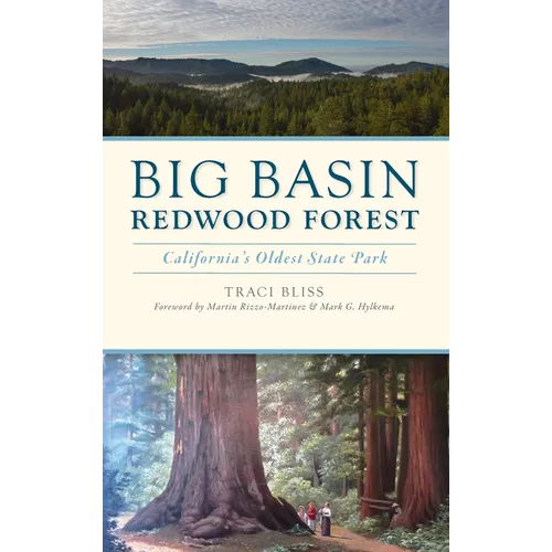 Big Basin Redwood Forest: California's Oldest State Park