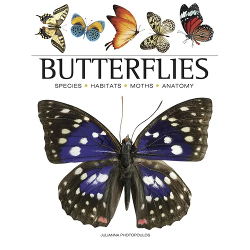 Butterflies: Beautiful Flying Insects