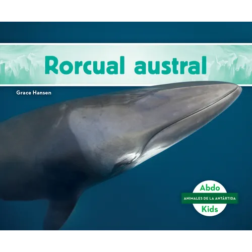 Rorcual Austral (Southern Minke Whale)