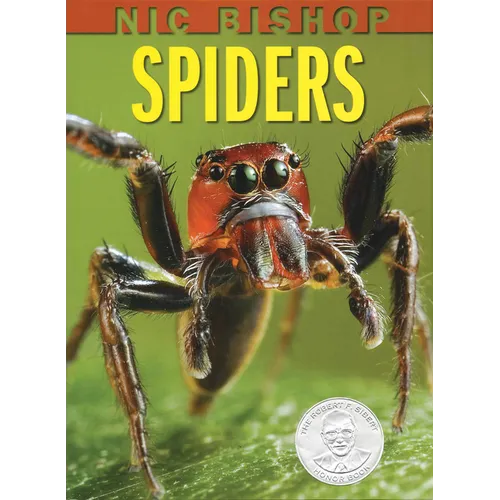 Nic Bishop: Spiders
