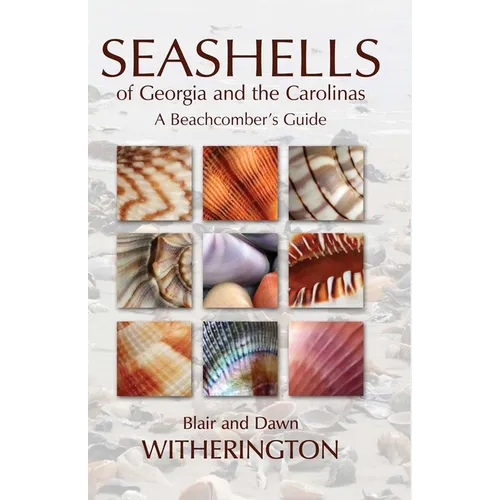 Seashells of Georgia and the Carolinas: A Beachcomber's Guide
