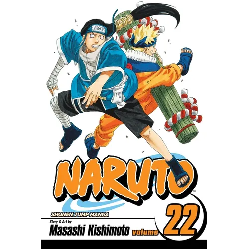 Naruto, Vol. 22: Comrades