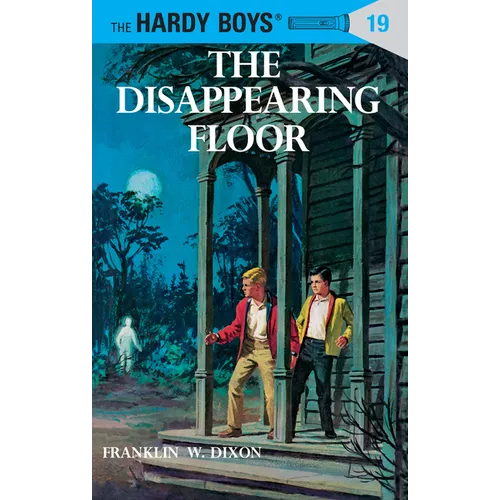 The Disappearing Floor