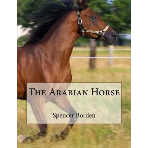 The Arabian Horse