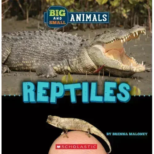 Reptiles (Wild World: Big and Small Animals)