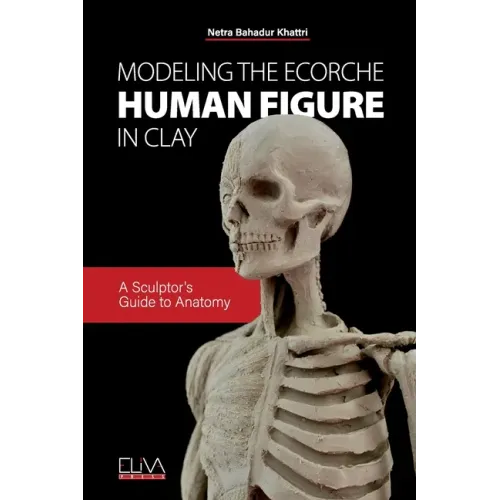 Modeling the Ecorche Human Figure in Clay: A Sculptor's Guide to Anatomy